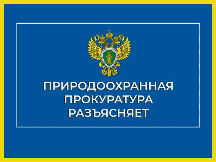 «О режиме использования водных объектов и прилегающей к ним территории».