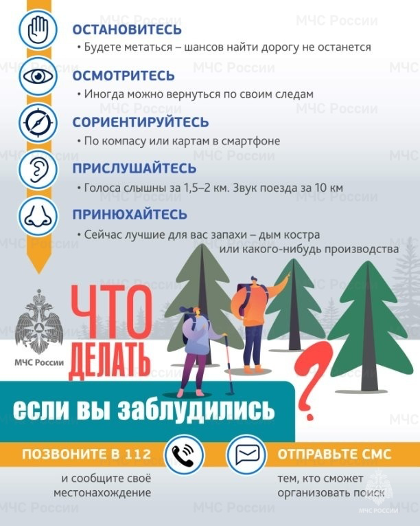 Памятка о необходимости соблюдения правил безопасного поведения в лесу:.