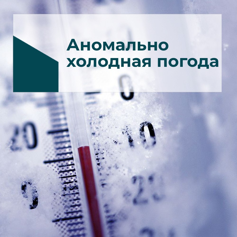 аномально-холодная погода.