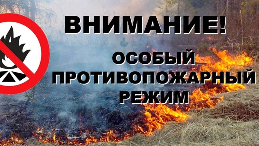 О введение особого противопожарного режима.