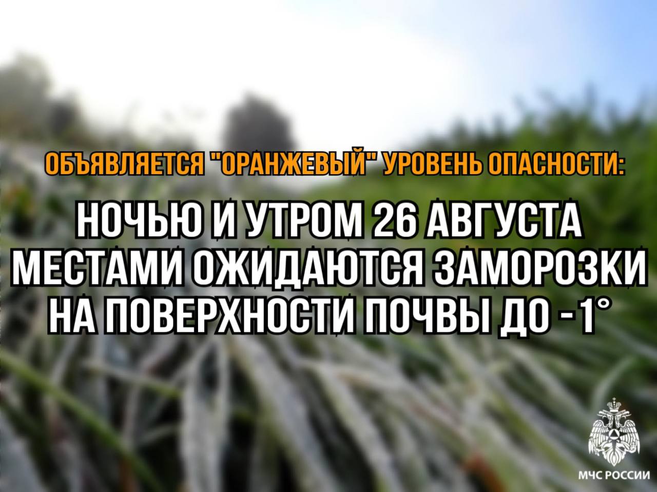 Объявляется &quot;оранжевый&quot; уровень опасности.