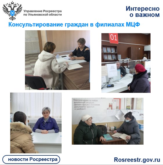 Консультирование граждан в филиалах МЦФ. Консультирование граждан в филиалах МЦФ.