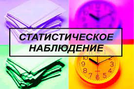 Статистическое наблюдение в с. Большие Ключищи. Статистическое наблюдение в с. Большие Ключищи.